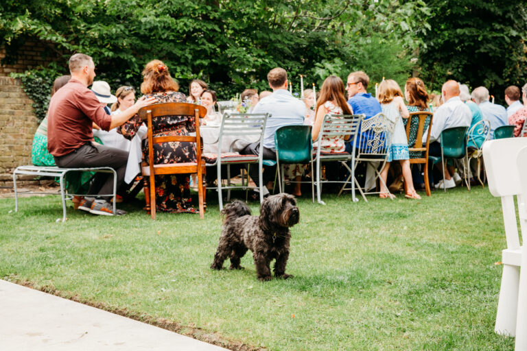 A dog in the garden.