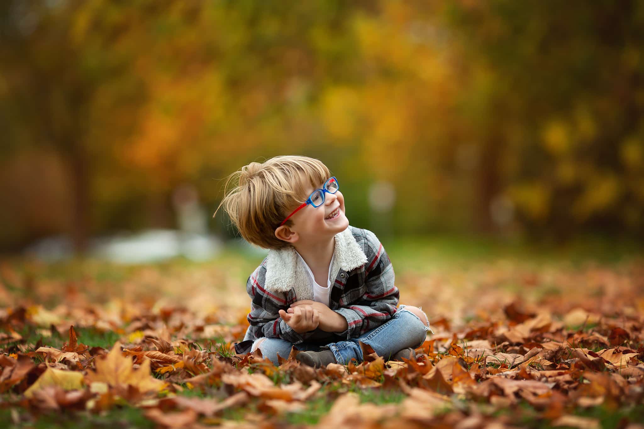 A little boy sitting on autumn leaves at the park looking at the sky.